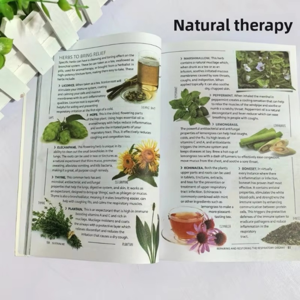 Sustain Me Barbara O'Neill A H - Health Wellness And Lifestyle 评论和价格