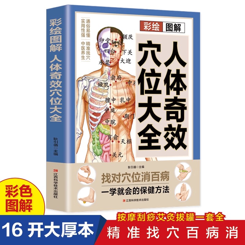 Complete Guide to Acupoint Mas - Health & Wellness U Of T 评论和价格