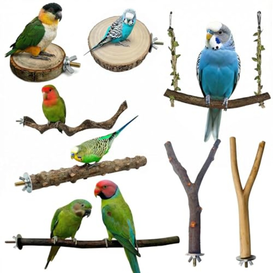 8PCS natural wood bird perches - Health & Wellness U Of T 评论和价格