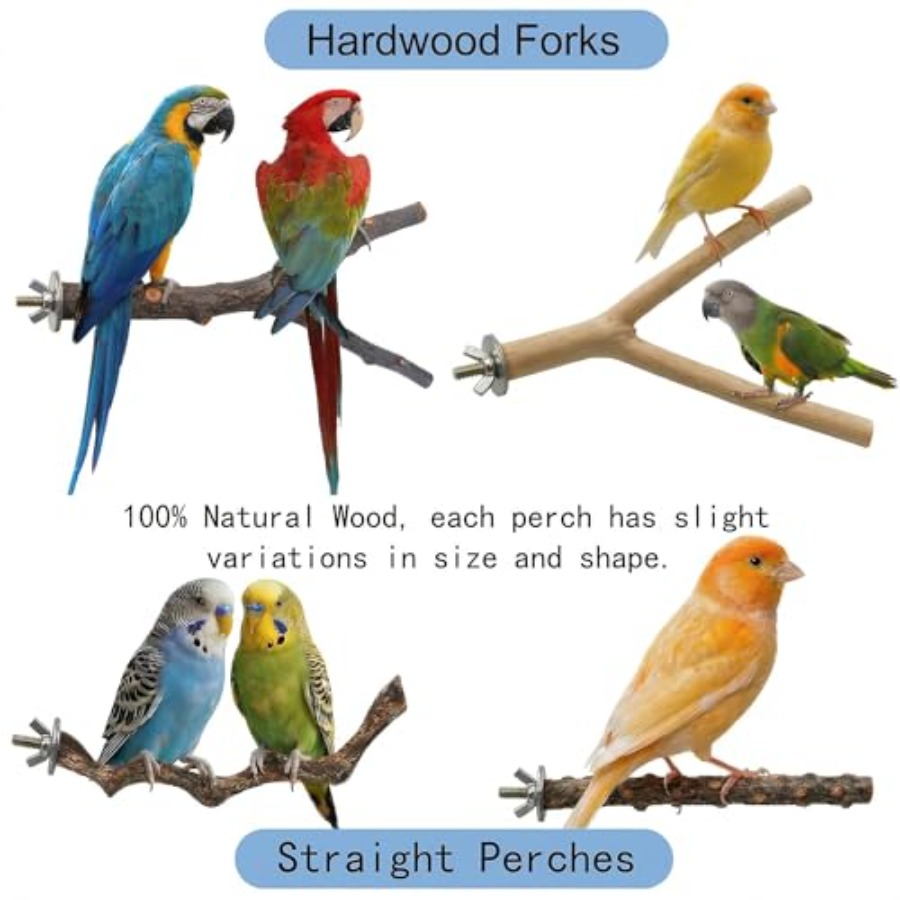 8PCS natural wood bird perches - Health & Wellness U Of T 评论和价格