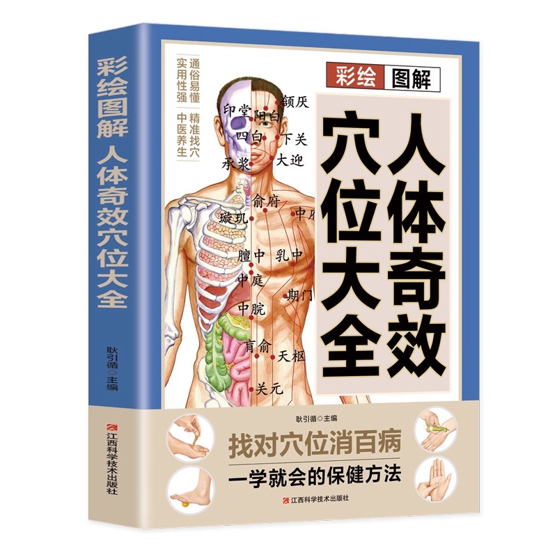 Acupoint Massage & TCM Health  - Health & Wellness U Of T 评论和价格